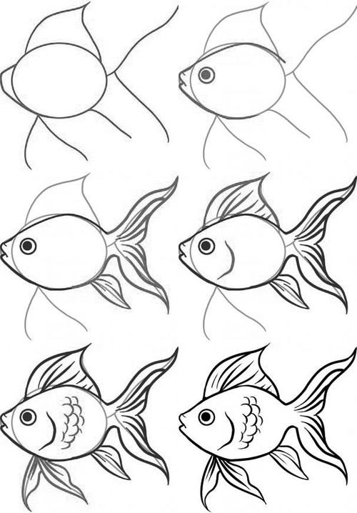Како нацртати златну рибицу?