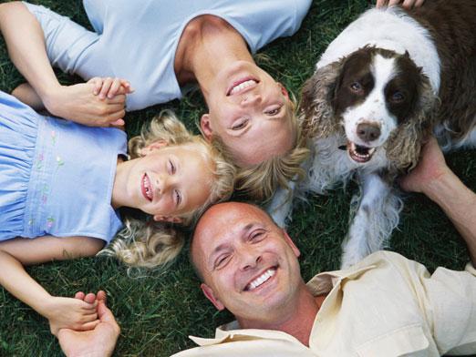 Како убедити родитеље да купе пса?